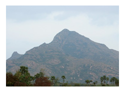 thiruvannamalai-history