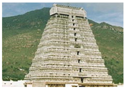 tiruvannamalai-temple-tower