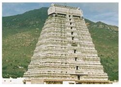 Thiruvannamalai Temple Tower